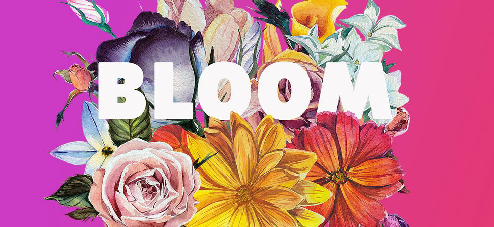 Bloom